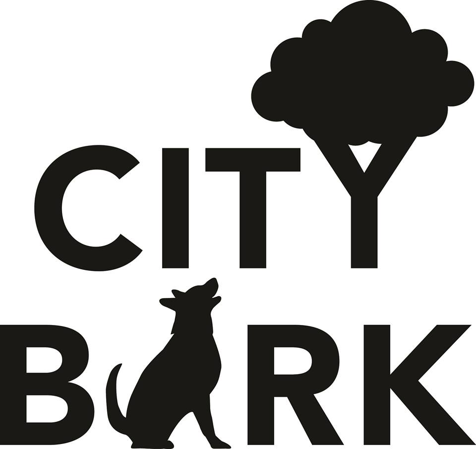 Downtown Detroit's first pet boutique City Bark opens