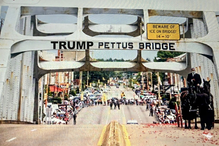 Featured_1792959002979287677_59120