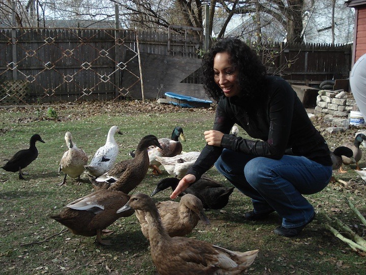 Article_landing_ducks__9653