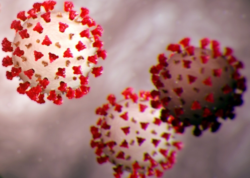 Featured_coronavirus_magnified_cells__cdc_40980