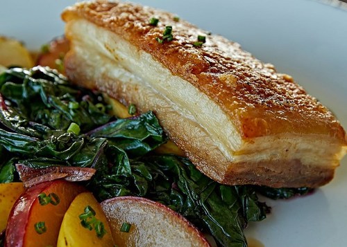 Featured_368192168_201852322871970_8166328451732537605_n_56242