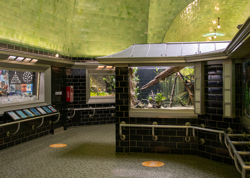 Deadline Detroit | Gallery: After a 16-Month Covid Lockdown, Detroit's Belle Isle Aquarium Is Re-opening Next Week - Vimarsana News