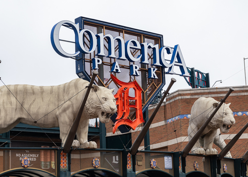 Featured_img_8584_48139