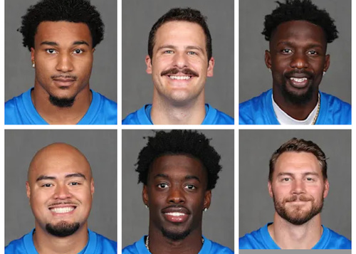 Featured_lions2_59271