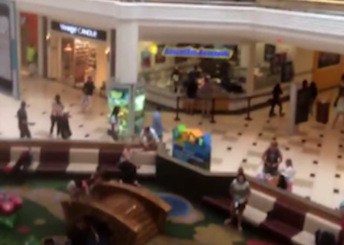 Deadline Detroit Twelve Oaks Mall in Novi Evacuated