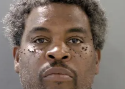 Ex-Detroit Firefighter Charged in Arsons and Robberies Including Theft of 2 Pit Bulls