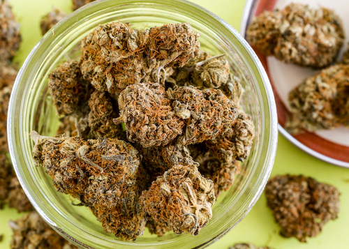 Featured_cannabis_58371