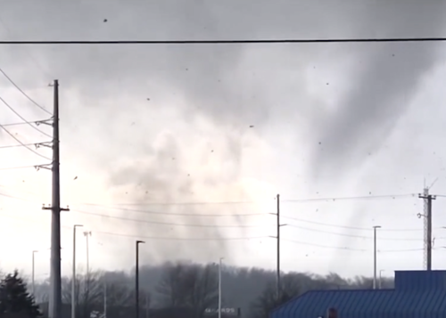 Featured_fox_2_59420