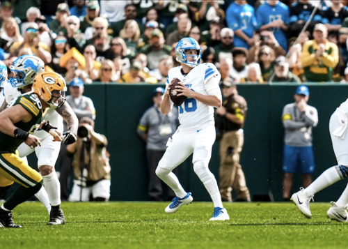 Featured_lions_58586
