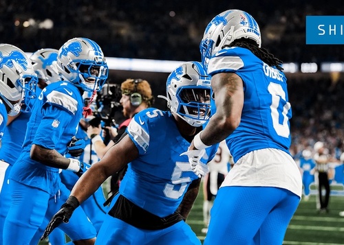 Featured_lions_58620