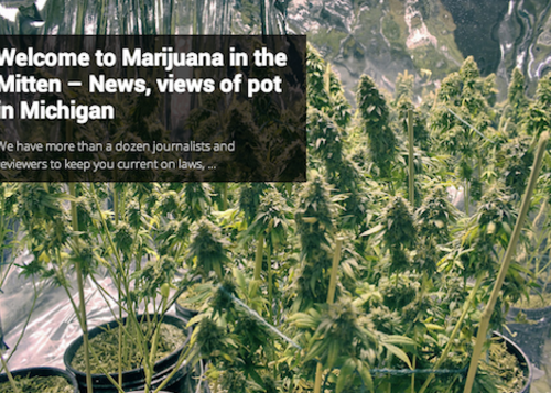 Featured_marijuana_12575