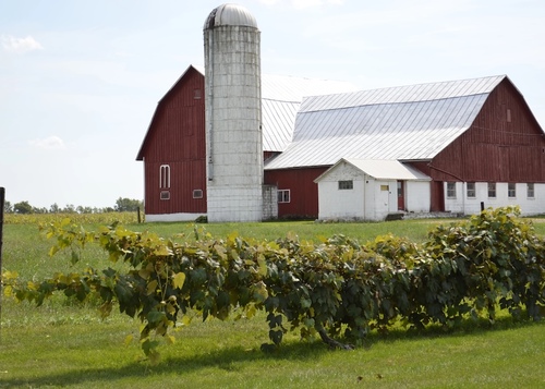 Trump's Trade Policies Continue to Harm Michigan Farmers