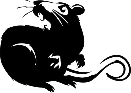Featured_rat_11665