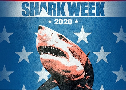 Deadline Detroit | It's Shark Week, MF'ers: The internet loves Gretchen ...