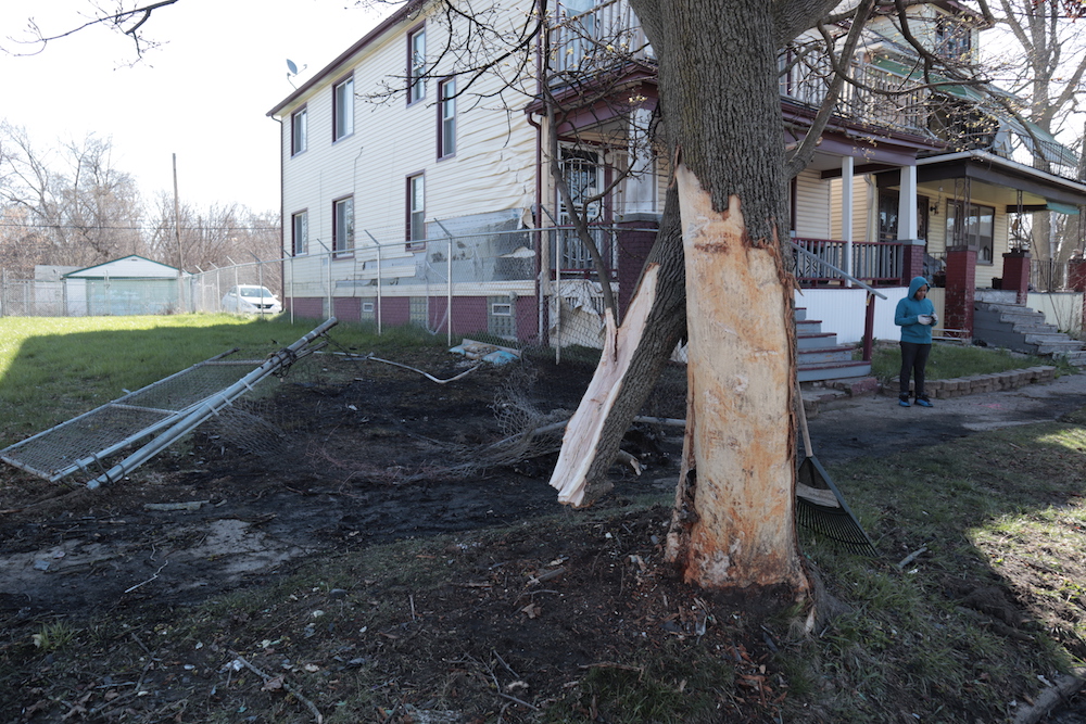 Featured_hell_cat_tree_42052