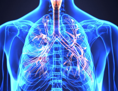 Featured_lung_illustration__inset_41173