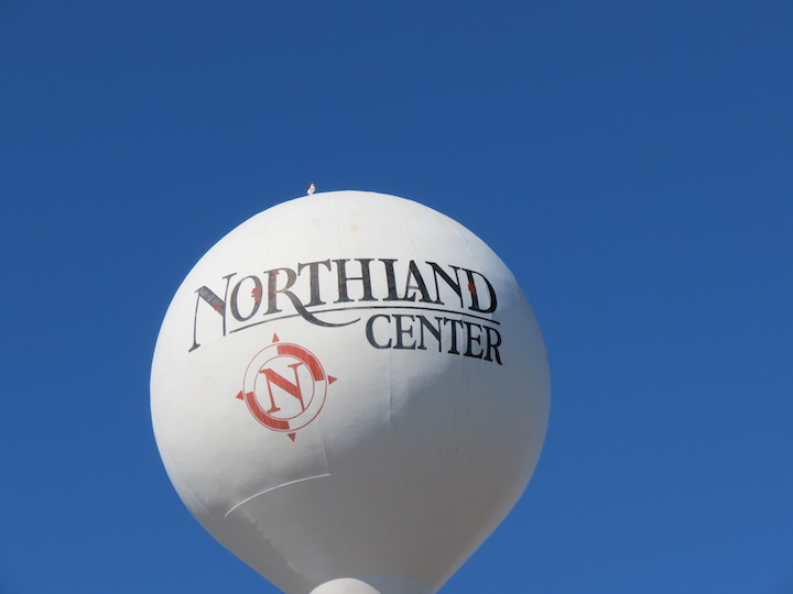 Featured_northland_ball_16206