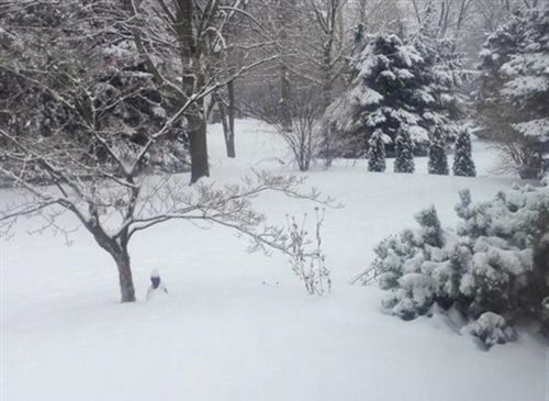 Featured_weather_roop_raj_fox_2_10606